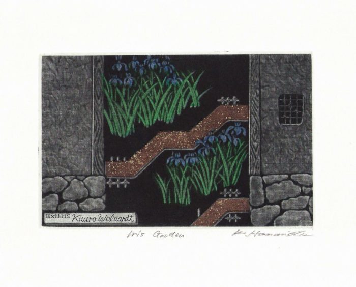 #251 Iris Garden