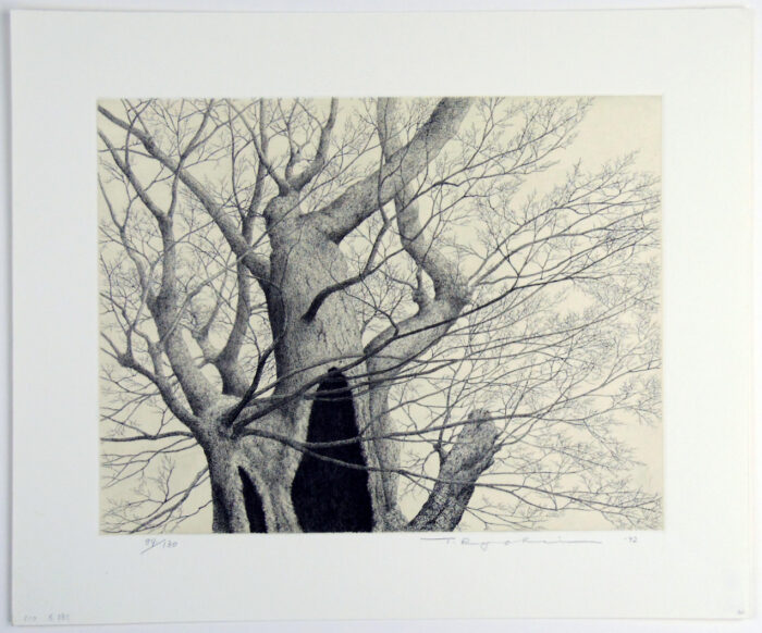 #510 An Old Tree