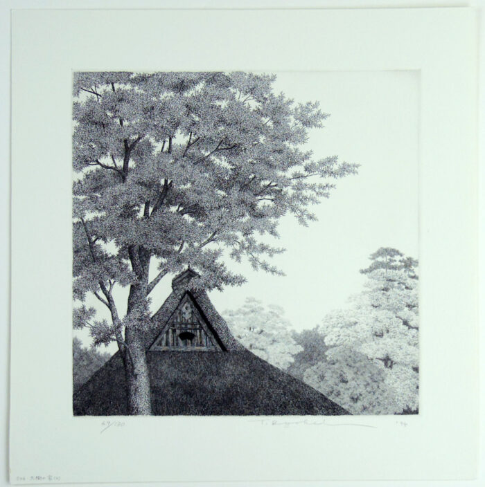 #546 House with Big Tree No. 4