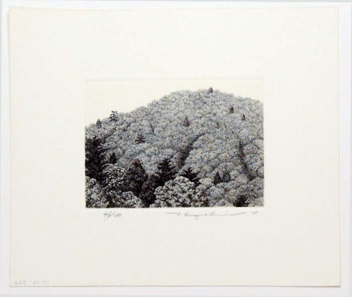 #645 Mountain No. 2