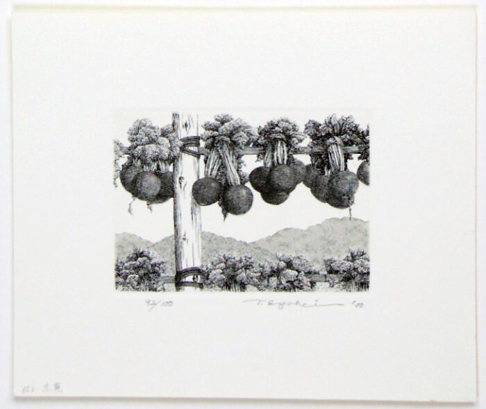#653 Red Turnips