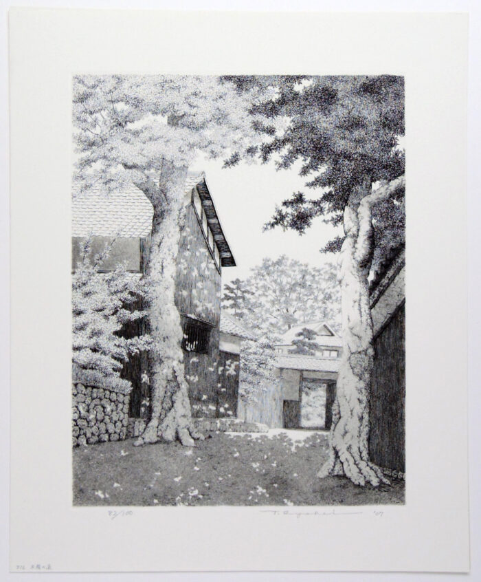 #716 Tree Shaded Path No. 2