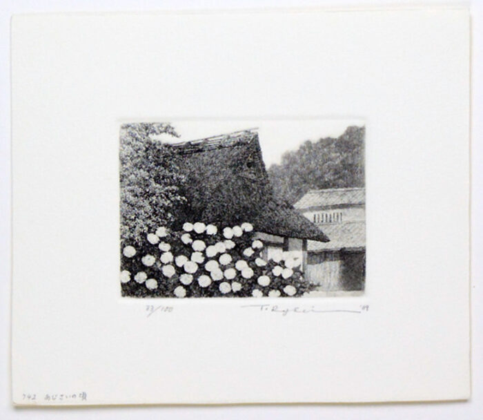 #742 Season of Hydrangea