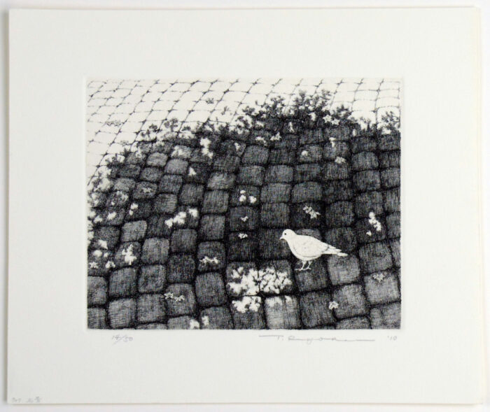#747 Stone Pavement