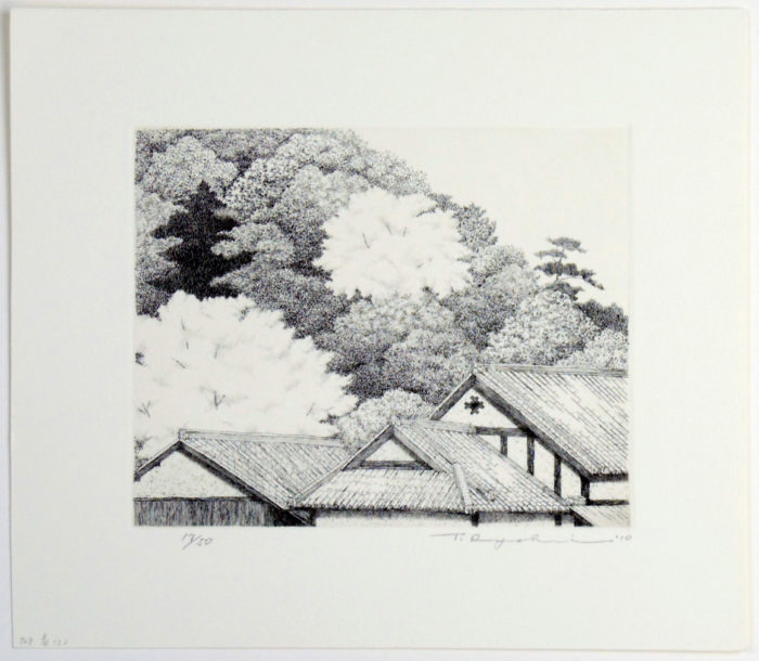 #748 Spring No. 3