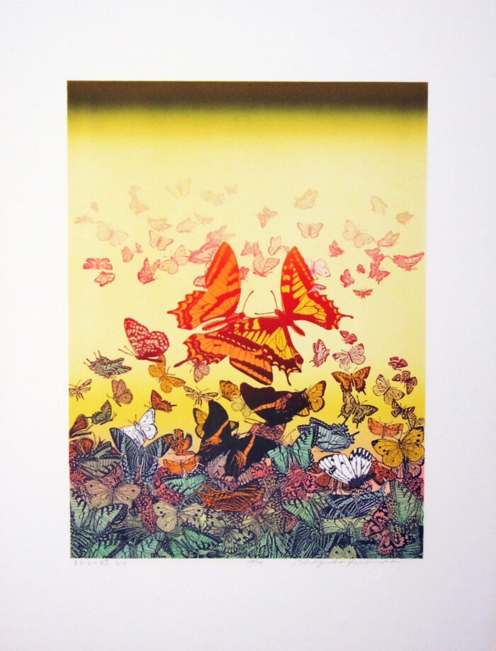 Butterflies at Midday