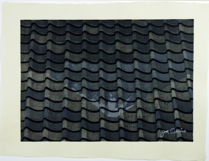14. Hara: Roof-Tile Reflection of Mt. Fuji