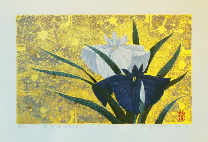Iris No. 158
