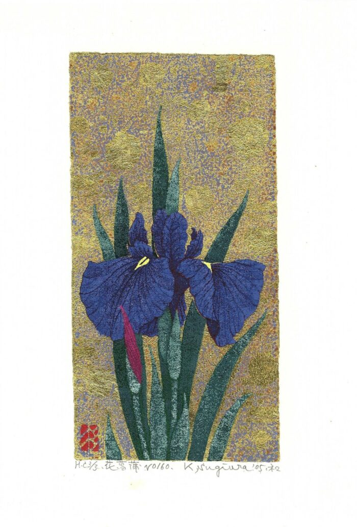 Iris No. 160