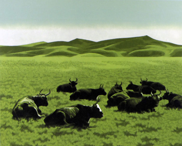 Mongolia - Cows (3)