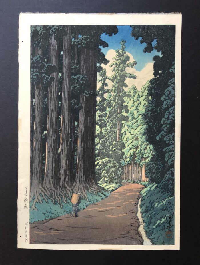 The Nikko Highway