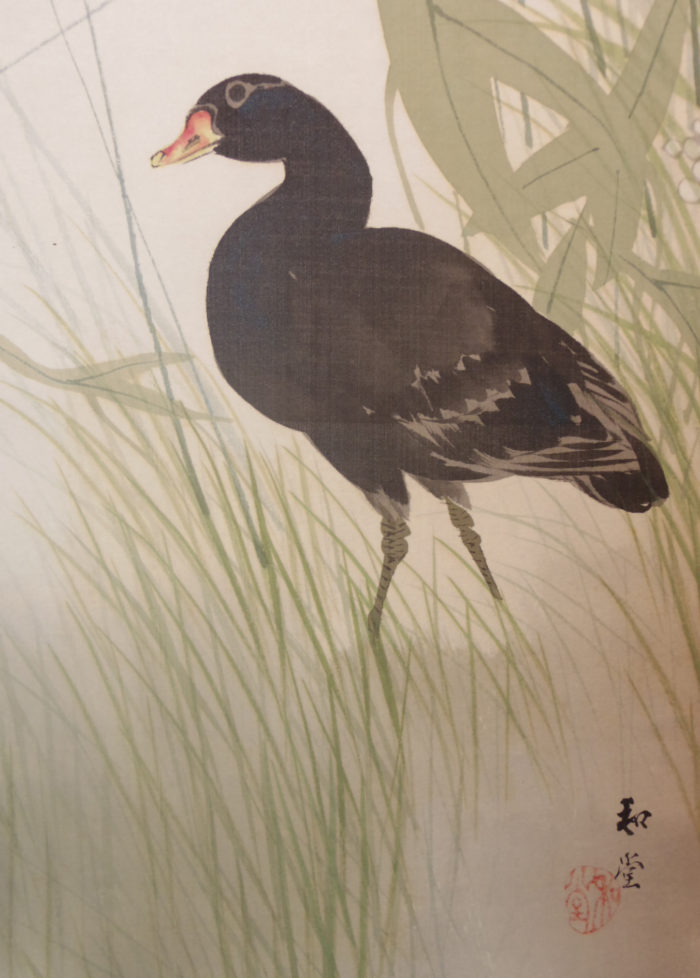 Bird in Grass - Image 2