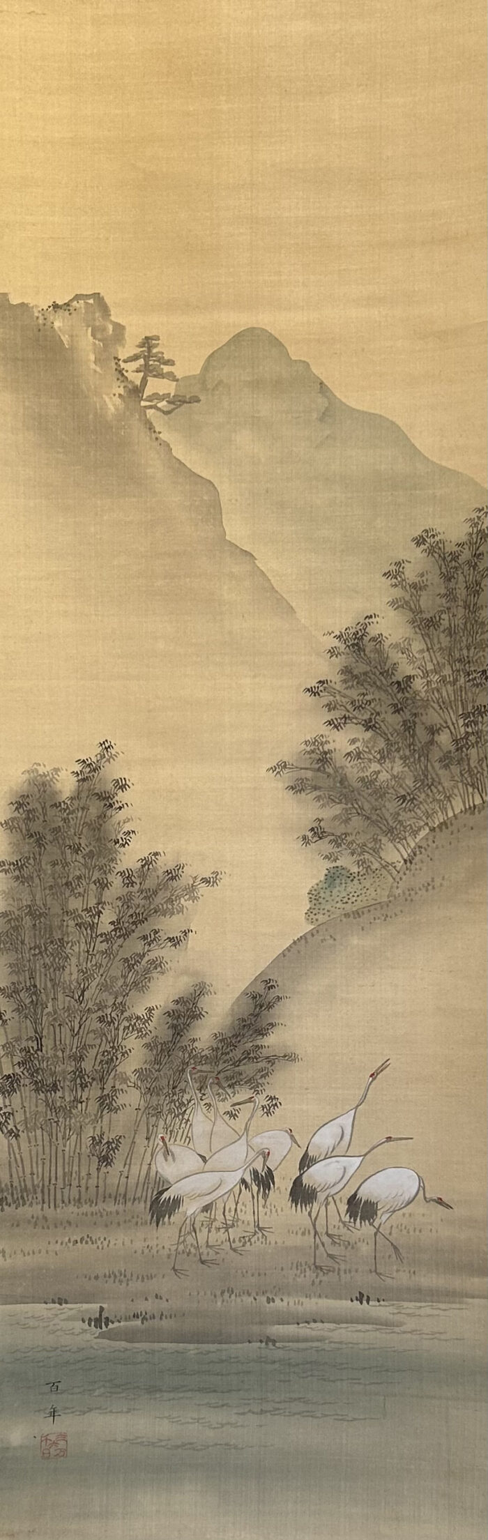 Longevity - Image 2