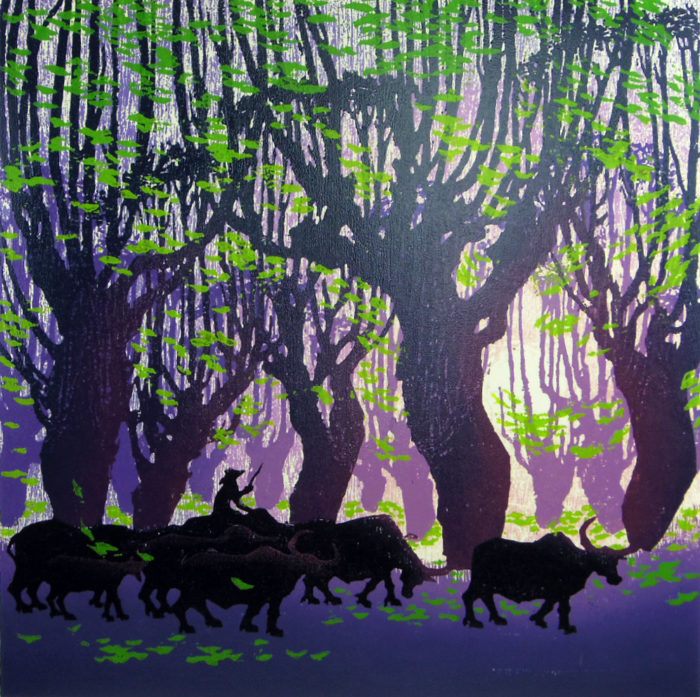The Xi Shuang Banna Forest