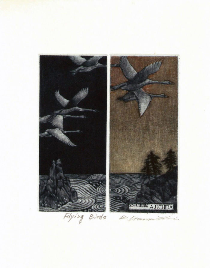 #279 Flying Birds