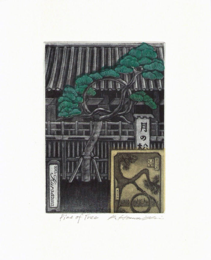 #326 Pine of Tree