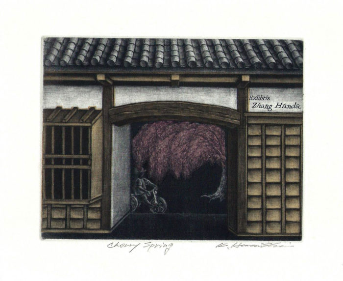 #339 Cherry Spring