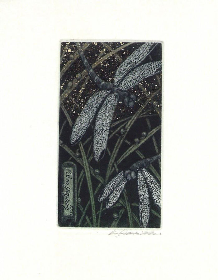 #348 Two Dragonflies