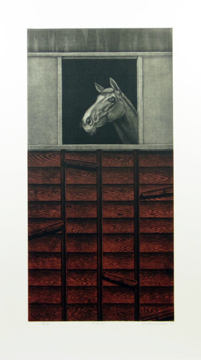A Horse