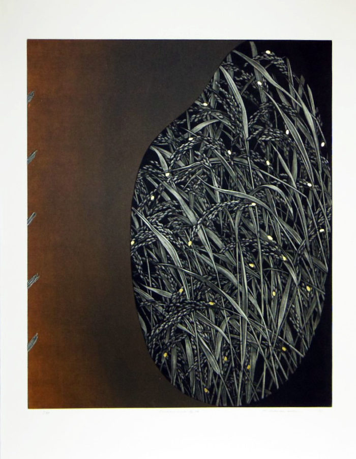 Division Work - No. 84