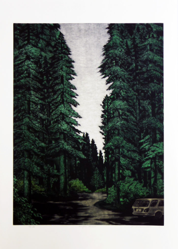 Oregon Forest