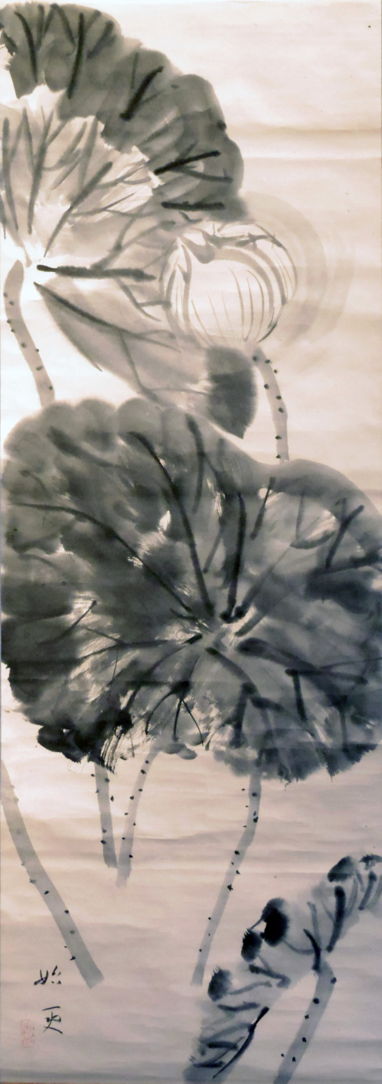 White Lotus - Image 2