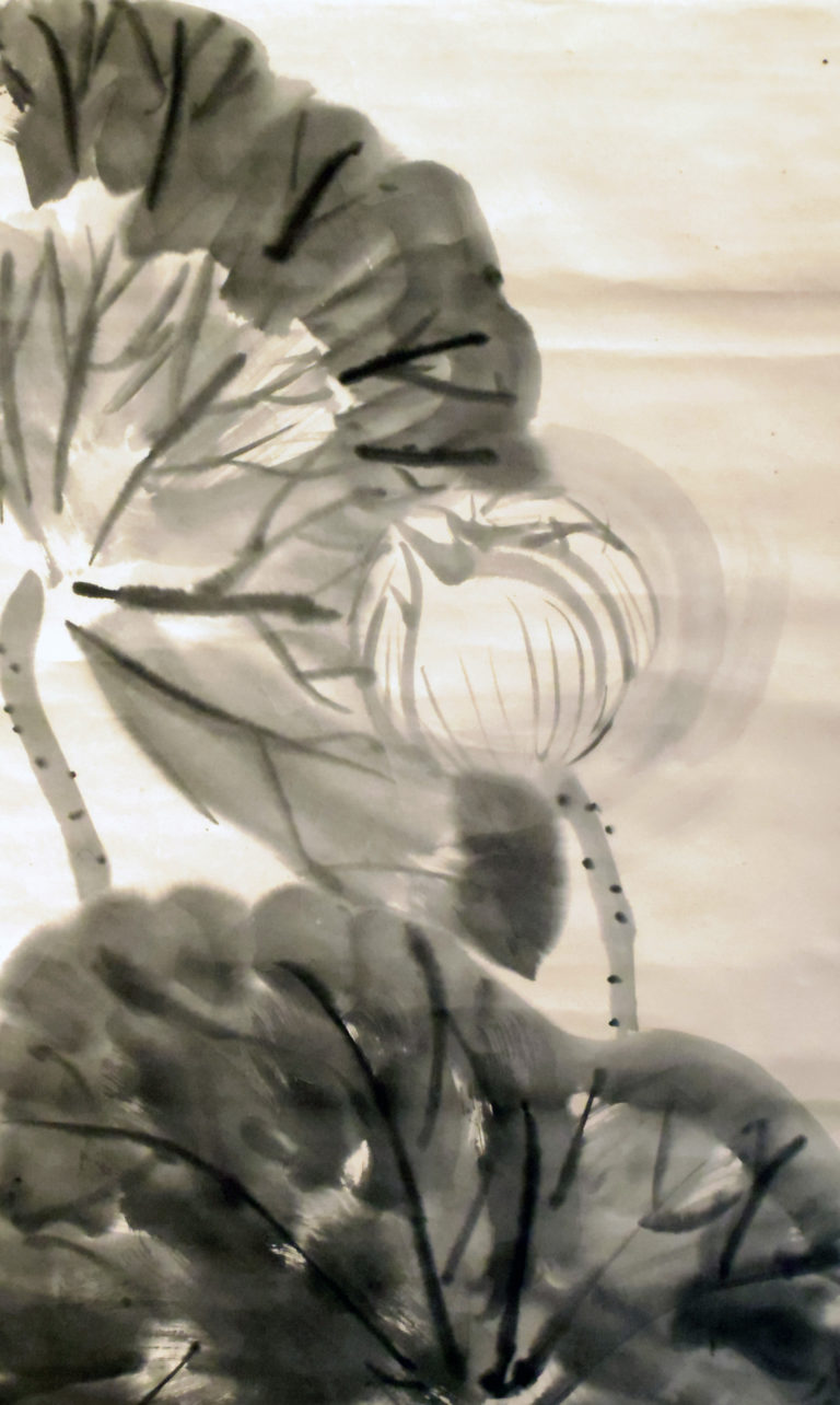 White Lotus