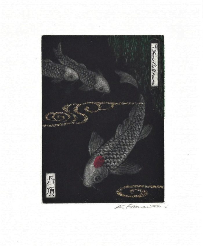 #350 Tancho Carp