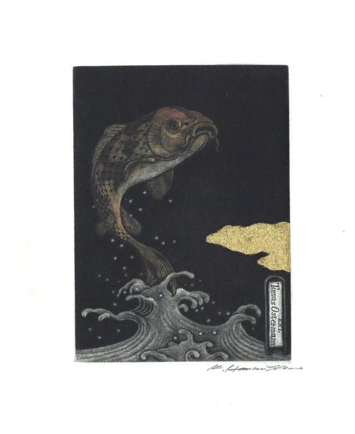 #369 Utsuri Carp