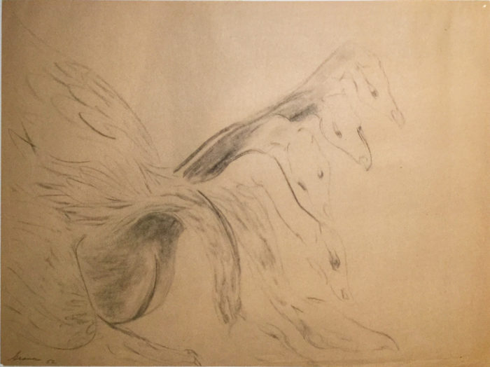 Swan Head in Motion