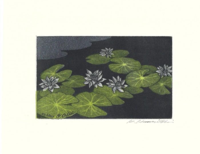 #094 Water Lily