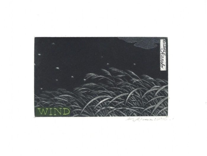 #385 Wind