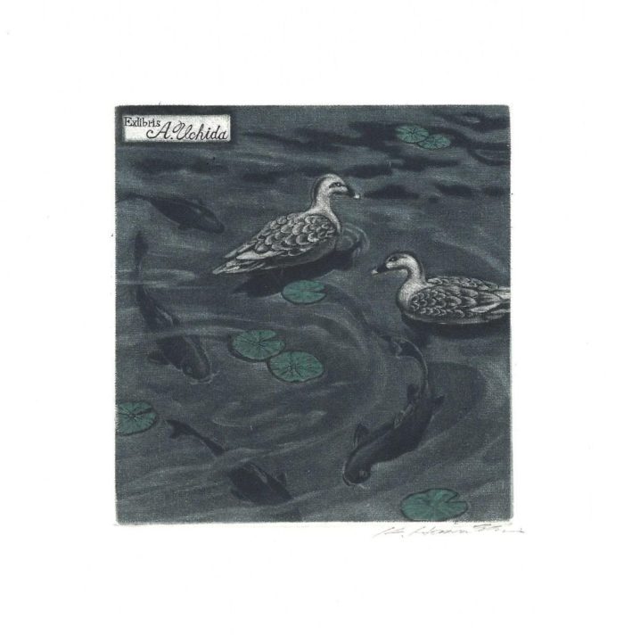 #390 Ripple