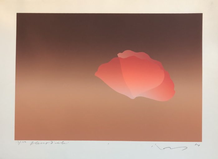 Fleur d'été