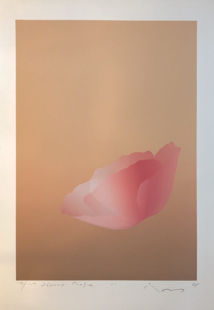 Fleur rose II