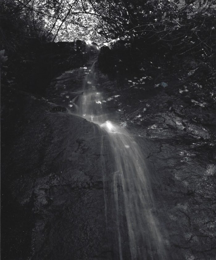 Charles Search - Great Things Dwell in Small Ones for a Moment (Adam Zagajewski)