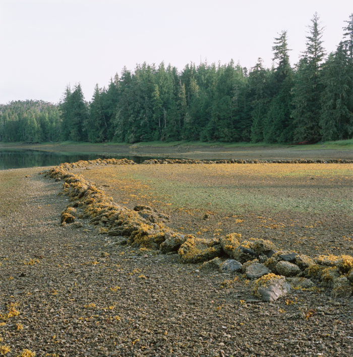 Gary Tepfer - Fish Weir, Roscoe Inlet
