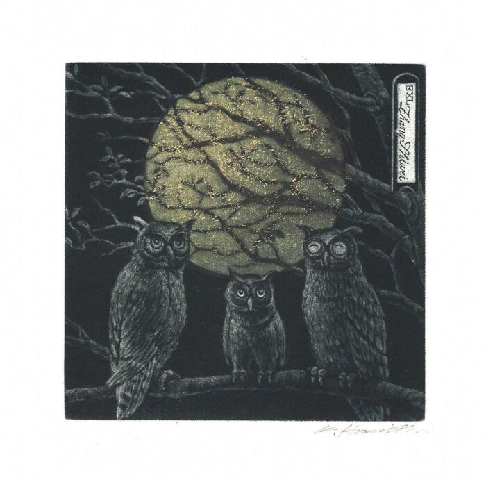 #420 Owl Family