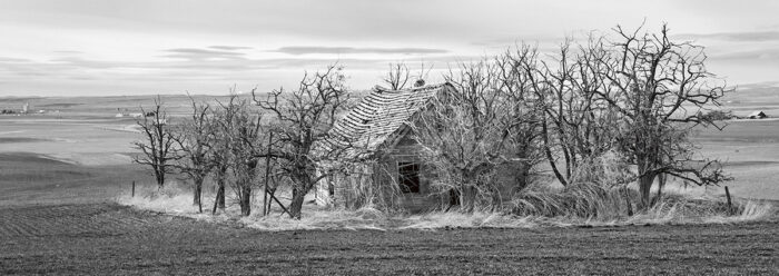 Abandoned Homestead near Goldendale, Washington