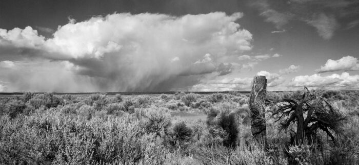 Juniper Post and Approaching Storm, Fort Rock Valley
