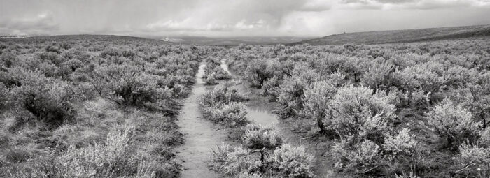 Oregon Trail Wagon Ruts, Flagstaff Hill
