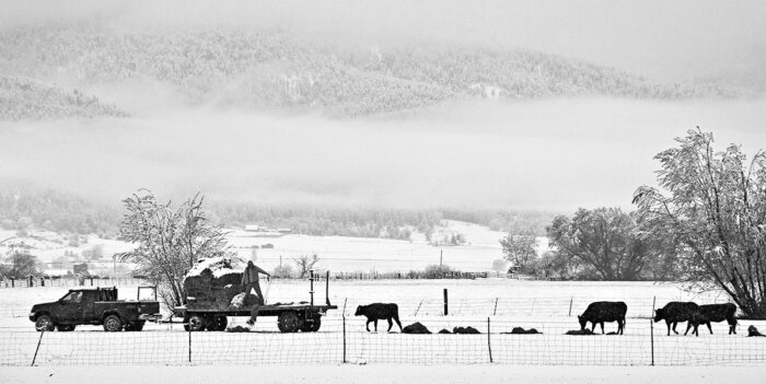 Spring Feeding, Baker Valley