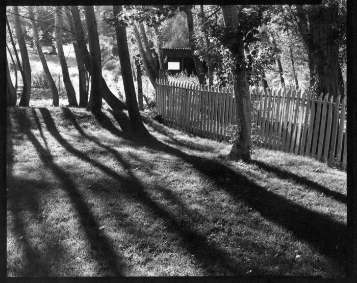 Backyard Shadows, Frenchglen, Oregon
