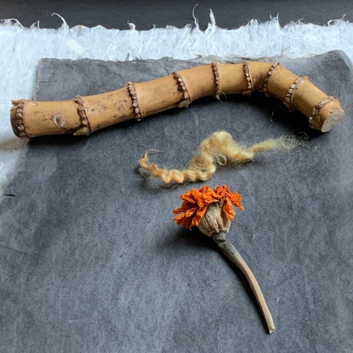 Helen Liu - Garden Diary, May 18-24, 2021