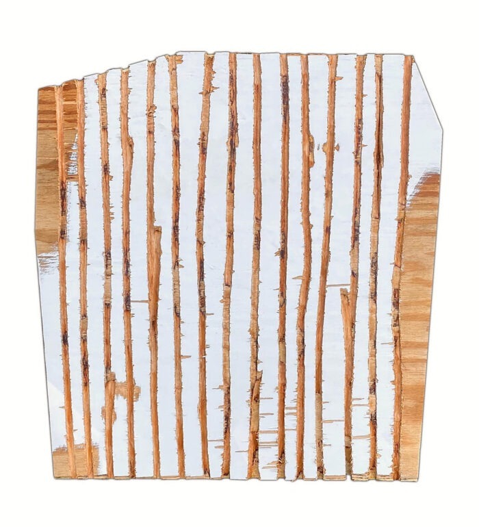 Jamie Newton - fifteen lines (chainsaw drawing)