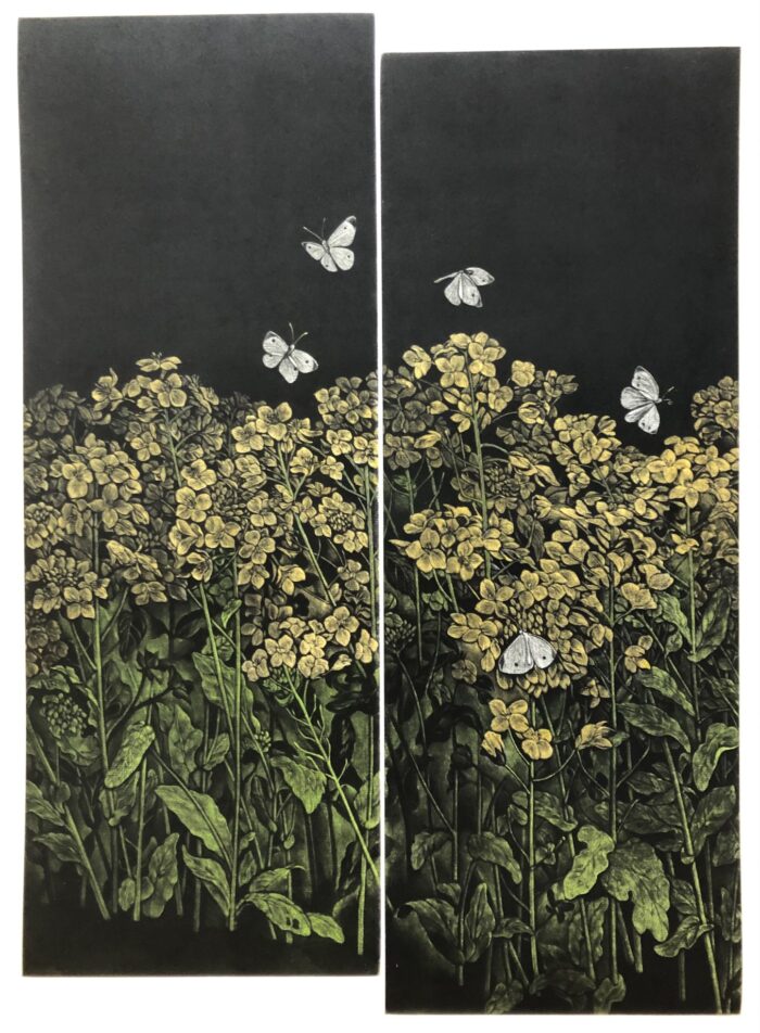 Canola Flowers Field - Image 3