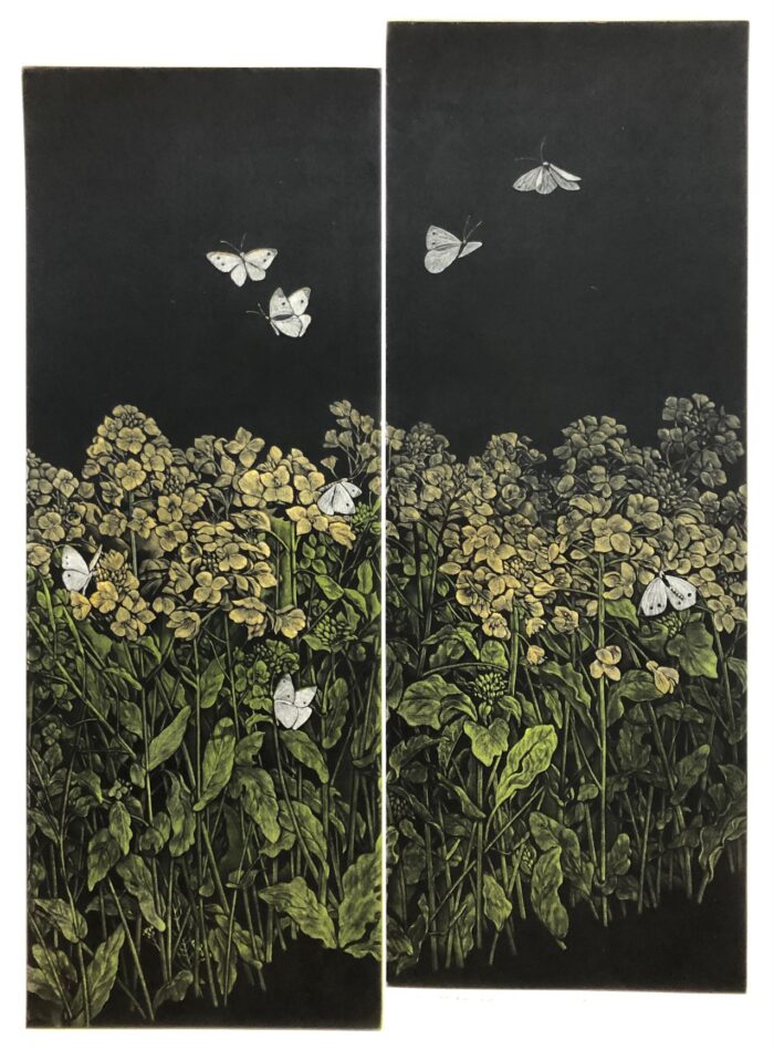 Canola Flowers Field - Image 4