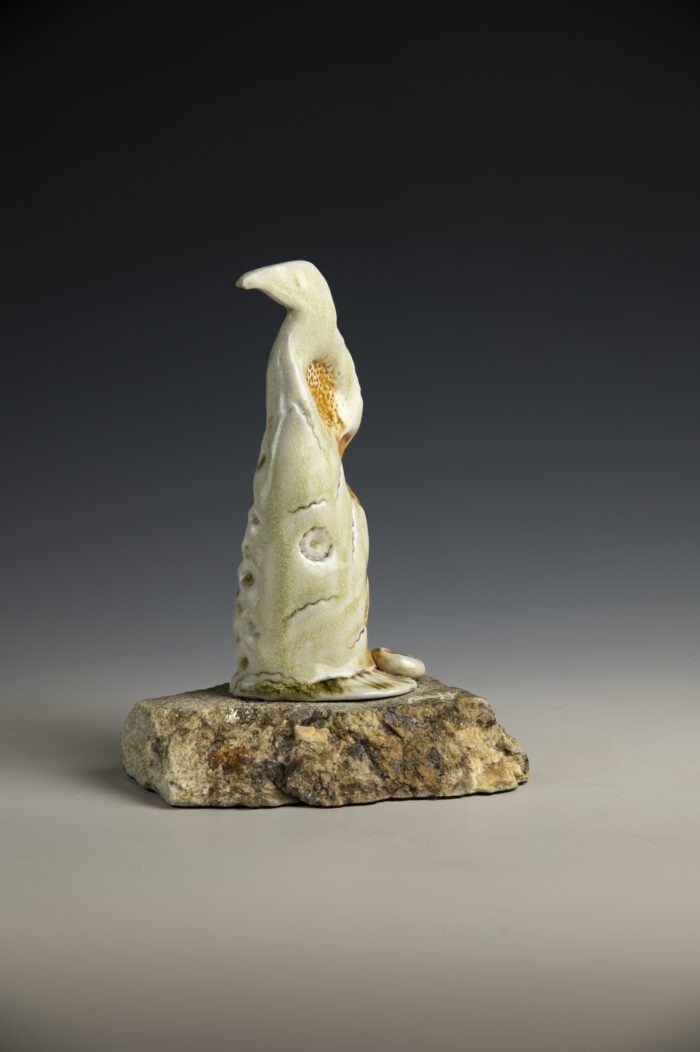 Spirit Bird