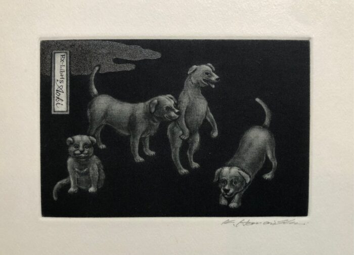 #351 Dogs
