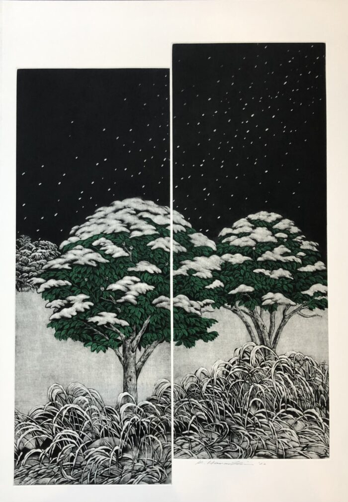Cold Camellia Road - Image 4